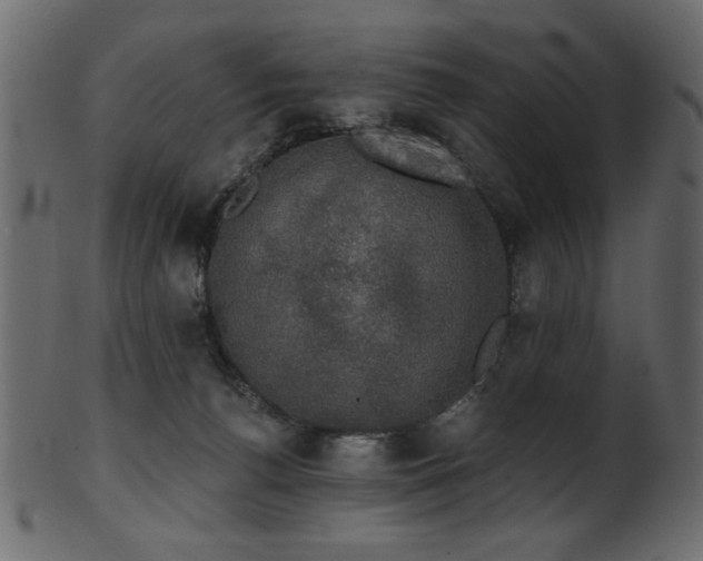 X0000101980176200807181133