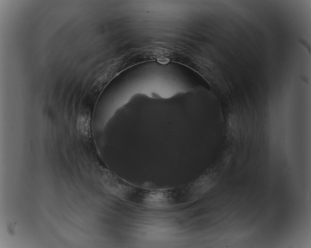 X0000101980177200807181133