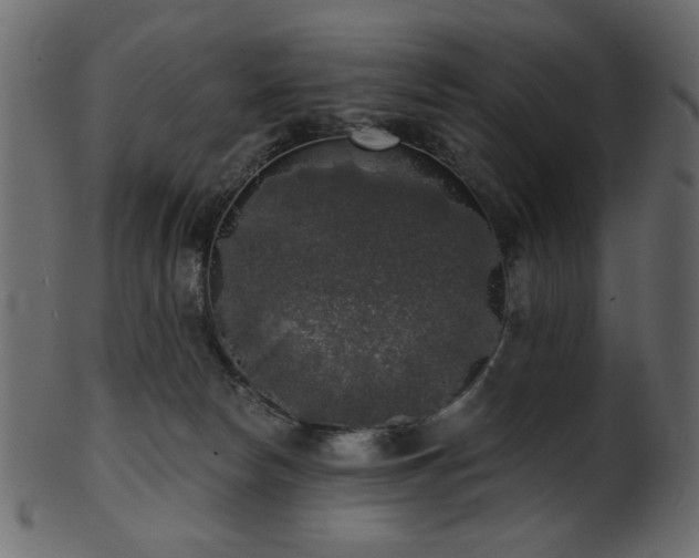 X0000101980178200807181133