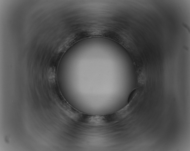 X0000101980179200807181133