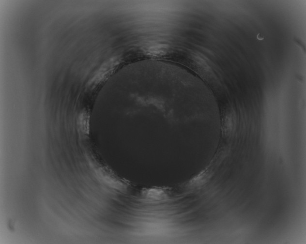 X0000101980180200807181133