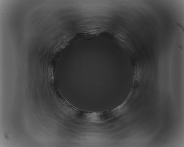 X0000101980182200807181133