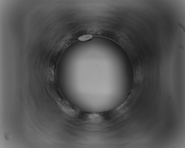 X0000101980183200807181133