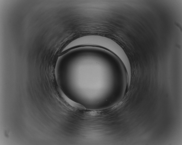 X0000101980184200807181133