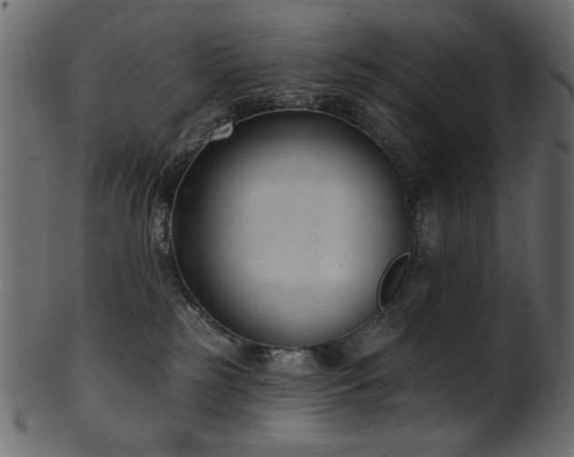 X0000101980185200807181133