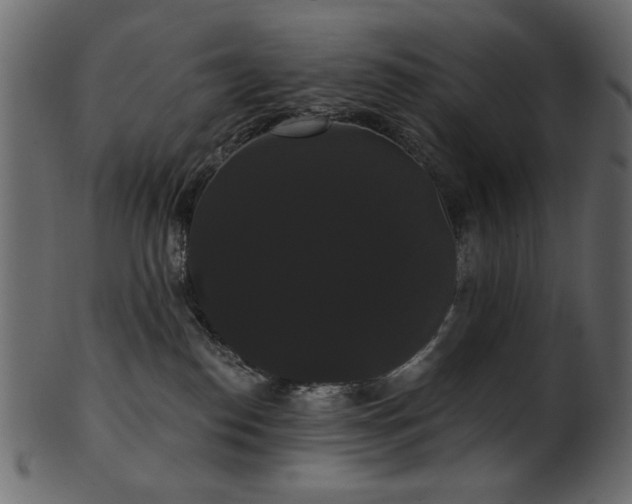 X0000101980186200807181133