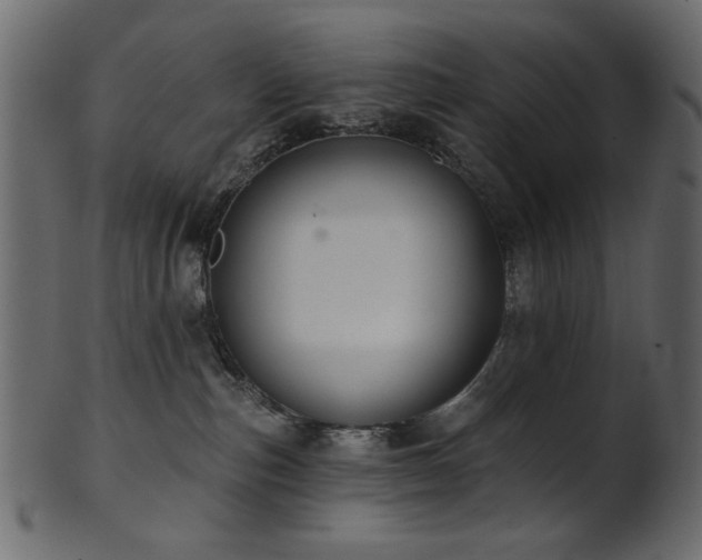 X0000101980187200807181133