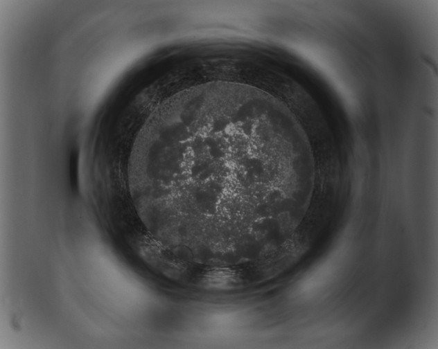 X0000101980189200807181133