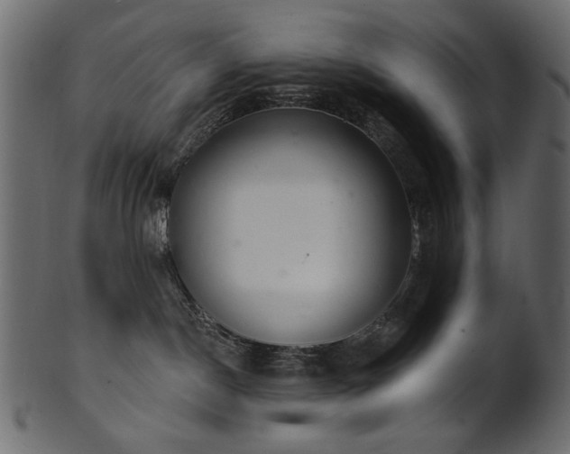 X0000101980190200807181133