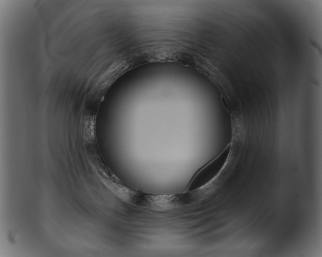 X0000101980191200807181133