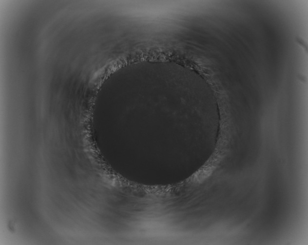 X0000101980192200807181133