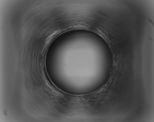 X0000101980193200807181133