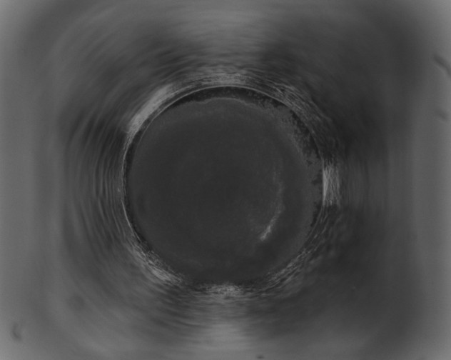 X0000101980195200807181133