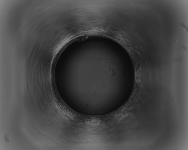 X0000101980196200807181133