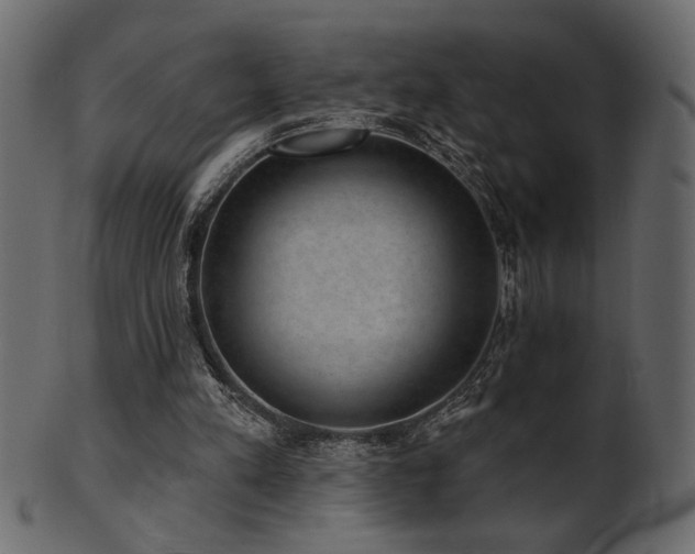 X0000101980197200807181133