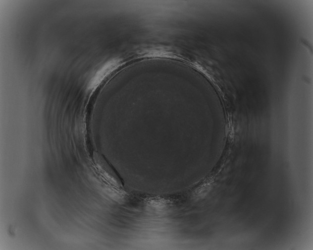 X0000101980199200807181132