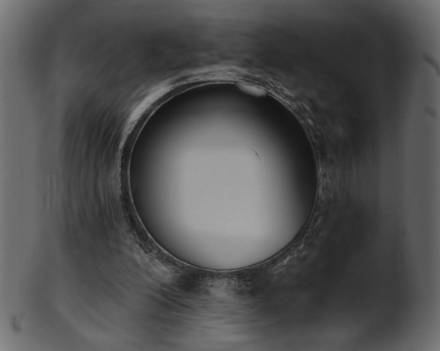 X0000101980200200807181132