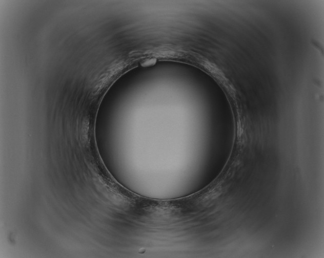 X0000101980201200807181132