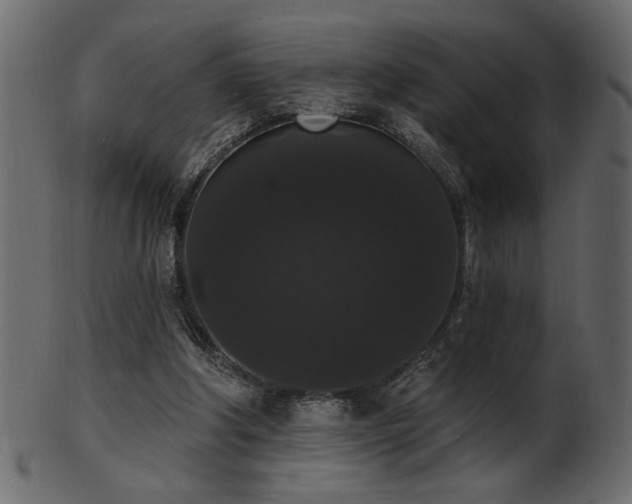 X0000101980202200807181132