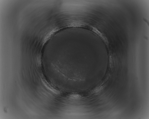 X0000101980203200807181132