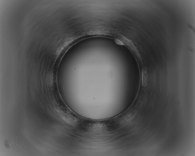 X0000101980204200807181132