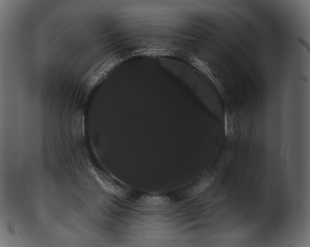 X0000101980205200807181132