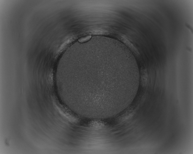 X0000101980207200807181132