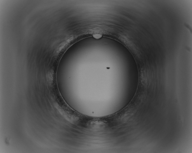 X0000101980208200807181132