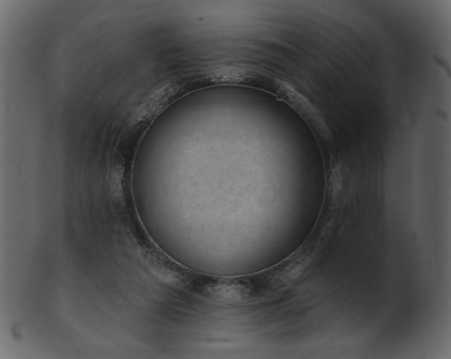 X0000101980209200807181132