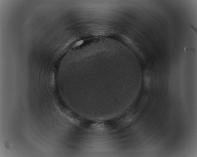 X0000101980211200807181132