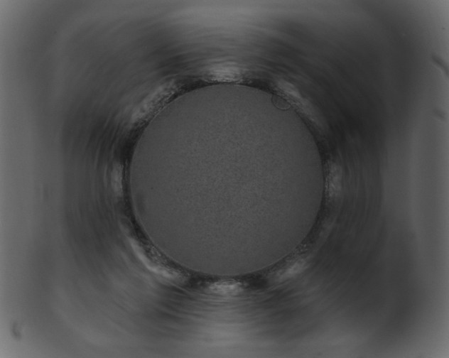 X0000101980213200807181132