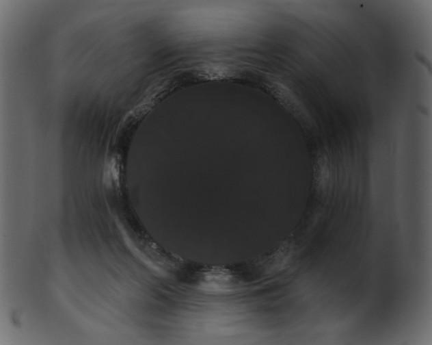 X0000101980214200807181132