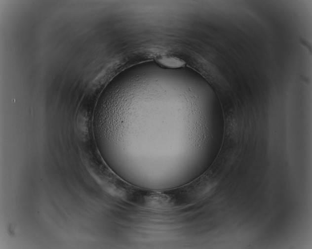 X0000101980215200807181132