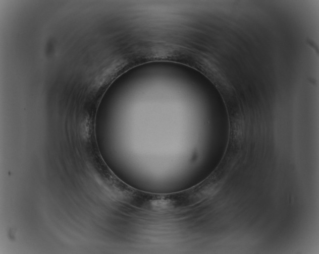 X0000101980216200807181132