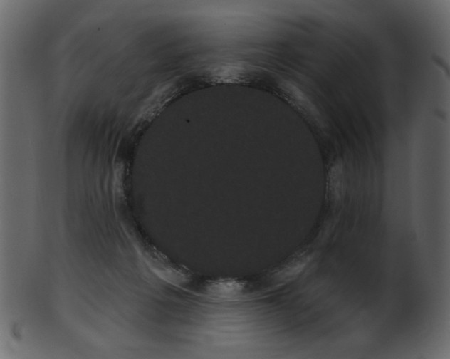 X0000101980217200807181132