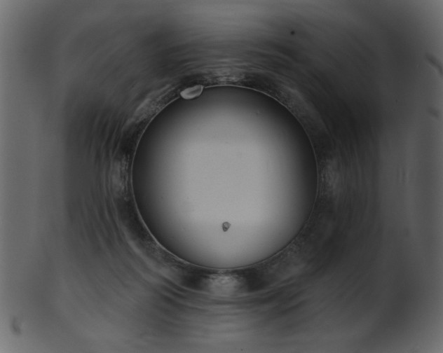 X0000101980218200807181132