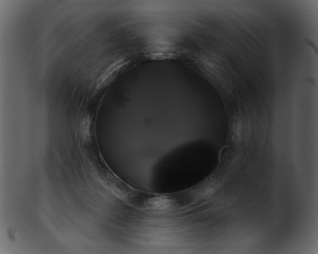 X0000101980219200807181132