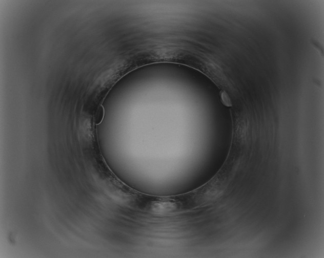 X0000101980220200807181132