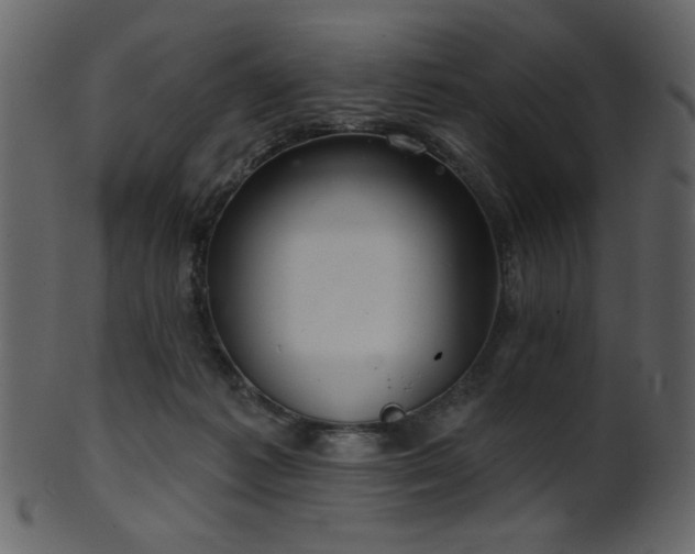 X0000101980221200807181132