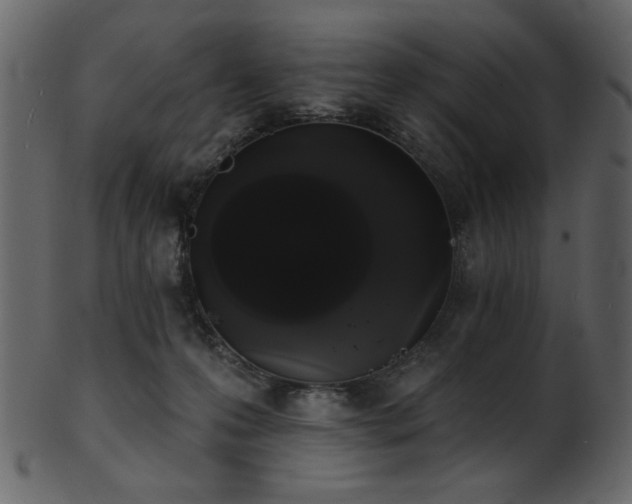 X0000101980223200807181132