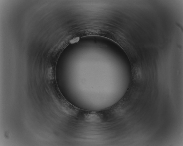 X0000101980224200807181132