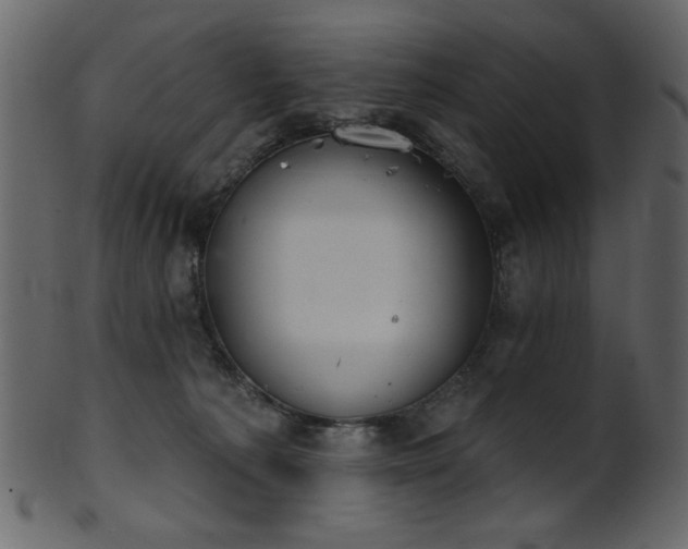 X0000101980225200807181132