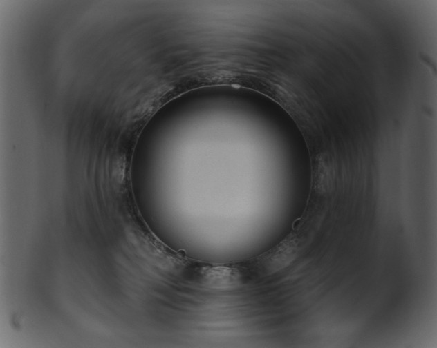 X0000101980230200807181132