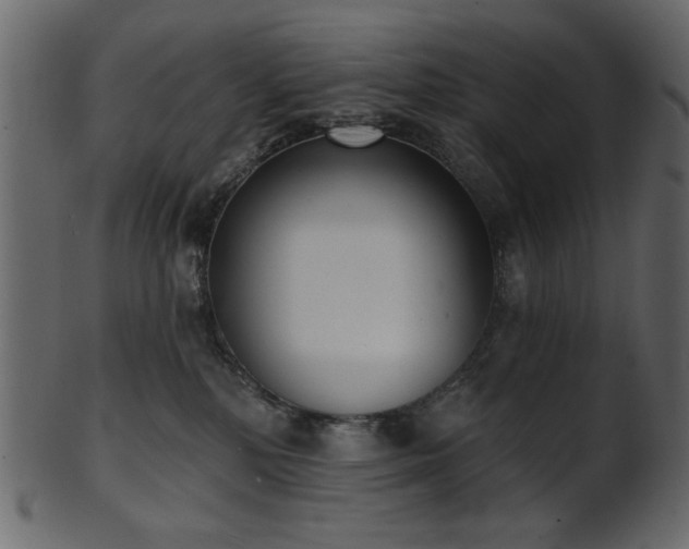 X0000101980232200807181132