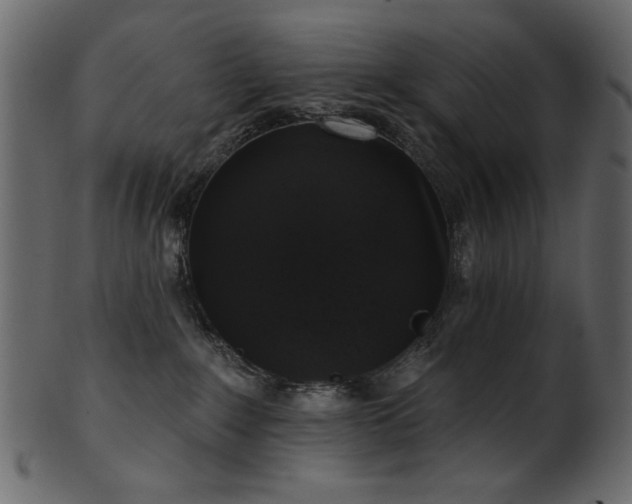 X0000101980235200807181132