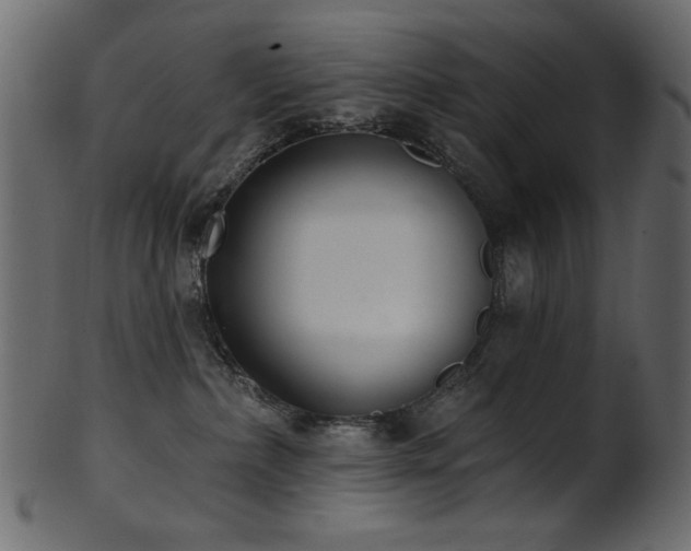 X0000101980236200807181132