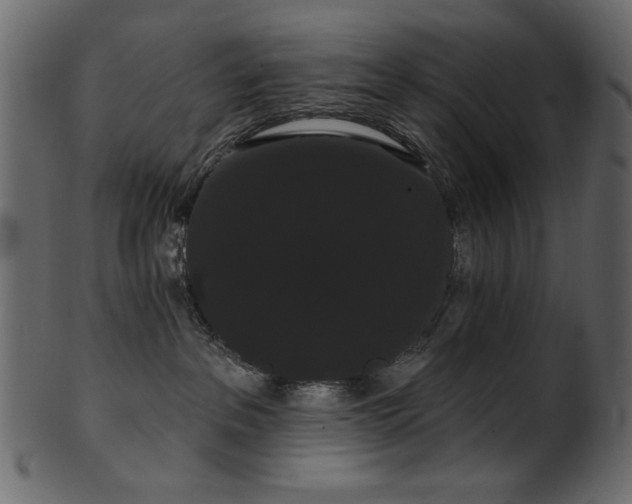 X0000101980237200807181132