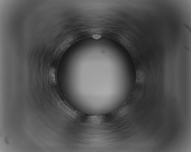 X0000101980238200807181132