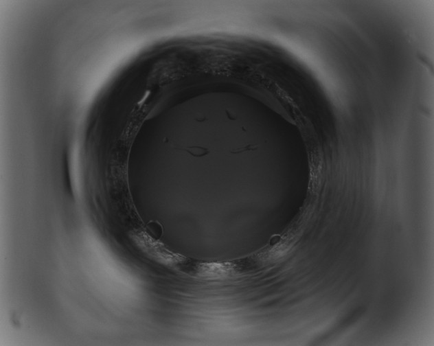 X0000101980239200807181132