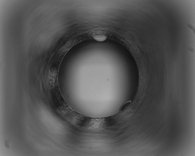 X0000101980240200807181132